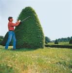 Rent a Hedge Trimmer, Gas Powered 24^