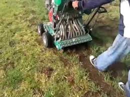 Deep Lush Lawn.......Or Pale Color Grass, Weeds & Bare Spots?