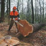Chain Saw, 36^, Stihl
