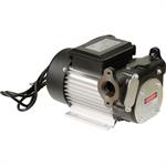 Rent a Fuel Transfer Pump, 120 Volt