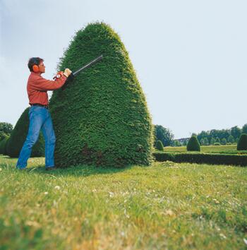 Rent a Hedge Trimmer, Gas Powered 24"
