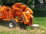 Tree Cutting, Chain Saws, Stump Grinder Rent (16)